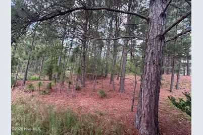 111 Callis Circle, West End, NC 27376 - Photo 16