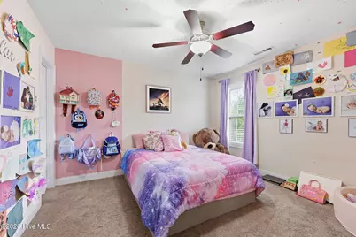 317 Little Egret Lane, Swansboro, NC 28584 - Photo 30