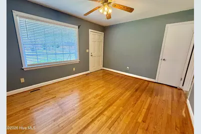 111 Ray Street, La Grange, NC 28551 - Photo 4