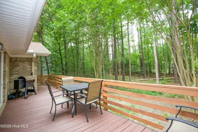248 Chickory Place, Vass, NC 28394 - Photo 42