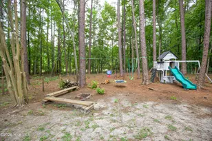 248 Chickory Pl, Vass, NC 28394 - Photo 48