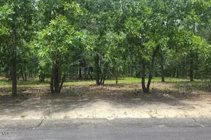 558 Del-Sol Cir SE, Bolivia, NC 28422 - Photo 1