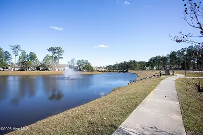 352 St Kitts Way, Winnabow, NC 28479 - Photo 46