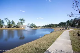 352 St Kitts Way, Leland, NC 28479 - Photo 46