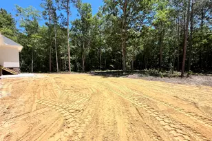 149 Wildflower Way, Pollocksville, NC 28573 - Photo 32