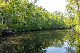 206 S King St, Windsor, NC 27983 - Photo 48