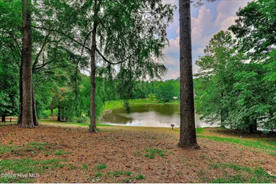 781 Sparkleberry Road, Evans, GA 30809 - Photo 76