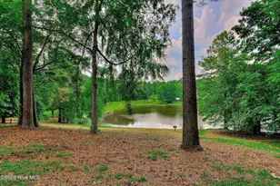 781 Sparkleberry Rd, Evans, GA 30809 - Photo 76