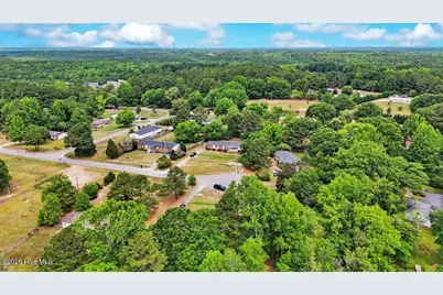 246 Farmhouse Court, Sanford, NC 27332 - Photo 28