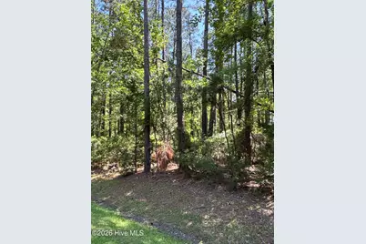 117 Headwaters Drive, Oriental, NC 28571 - Photo 4