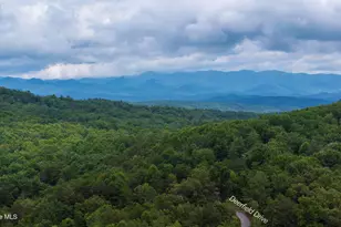 680 Deerfield Dr, Murphy, NC 28906 - Photo 58