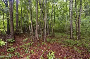 3825 N US 17 Hwy, New Bern, NC 28560 - Photo 16