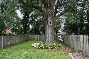 713 Ann St, Wilmington, NC 28401 - Photo 10