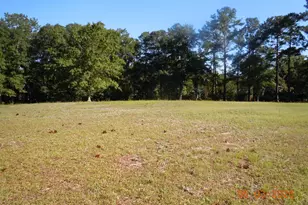 29 Ridge Dr, Tabor City, NC 28463 - Photo 1