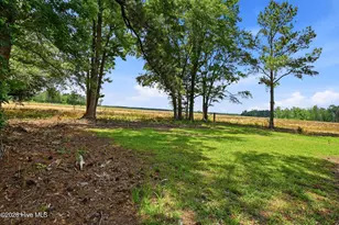 3984 Beattys Bridge Rd, Atkinson, NC 28421 - Photo 36
