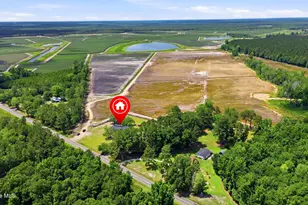 3984 Beattys Bridge Rd, Atkinson, NC 28421 - Photo 44