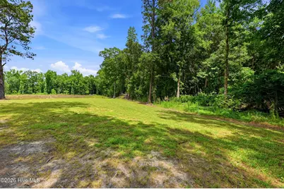 3984 Beattys Bridge Road, Atkinson, NC 28421 - Photo 38