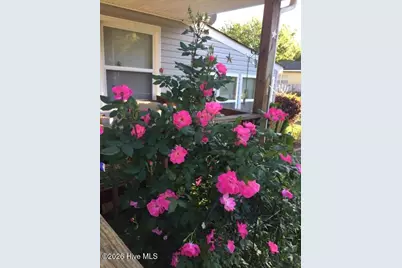 213 Yeopim Trail, Edenton, NC 27932 - Photo 20