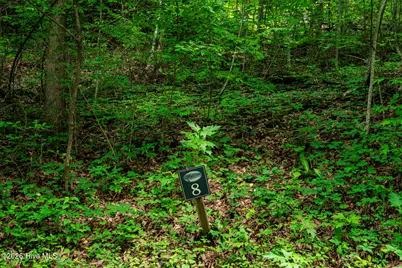Lot 8 Skyview Drive, Hayesville, NC 28904 - Photo 1