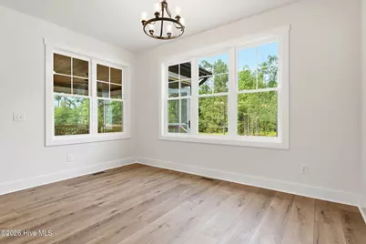 910 Niagara Carthage Road, Carthage, NC 28327 - Photo 14