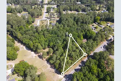 Tbd Cheraw Road, Hamlet, NC 28345 - Photo 2