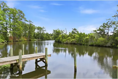 203 Broadleaf Drive, Jacksonville, NC 28546 - Photo 40