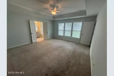 78 Violetear Ridge, Hampstead, NC 28443 - Photo 12