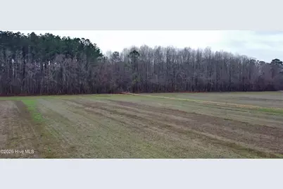 269 Creek Road, Bath, NC 27808 - Photo 6