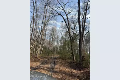 269 Creek Road, Bath, NC 27808 - Photo 16