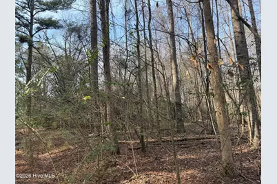 269 Creek Road, Bath, NC 27808 - Photo 12