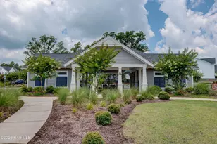 52 Violetear Rdg, Hampstead, NC 28443 - Photo 62