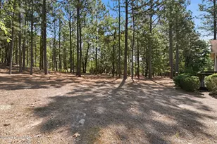 105 Woodall Ct, West End, NC 27376 - Photo 52