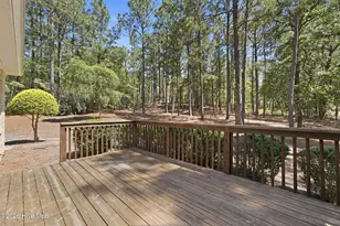 105 Woodall Ct, West End, NC 27376 - Photo 54