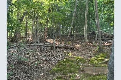 194 Ingrams Mill Road, Ellerbe, NC 28338 - Photo 12