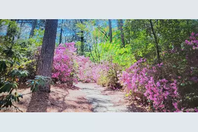 195 Little Road, Southern Pines, NC 28387 - Photo 32