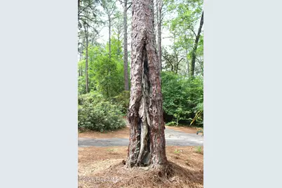 195 Little Road, Southern Pines, NC 28387 - Photo 30