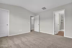 157 Brookfield Br Rd, Hampstead, NC 28443 - Photo 16