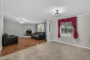 304 Washington Creek Dr, Willard, NC 28478 - Photo 12