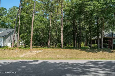 3840 Timber Stream Drive, Southport, NC 28461 - Photo 4