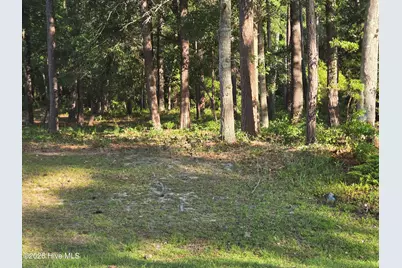 3840 Timber Stream Drive, Southport, NC 28461 - Photo 2