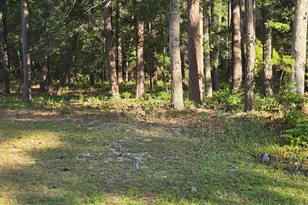 3840 Timber Stream Dr, Southport, NC 28461 - Photo 1