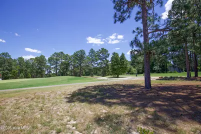 6 Pine Tree Terrace, Jackson Springs, NC 27281 - Photo 28