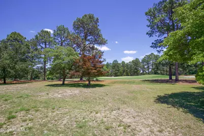 6 Pine Tree Terrace, Jackson Springs, NC 27281 - Photo 30