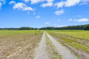 637 Aycock Church Rd, Fremont, NC 27830 - Photo 46