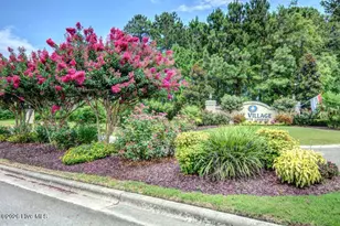 4021 Yorke Meadow Ct, Wilmington, NC 28412 - Photo 40