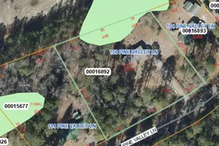 108 Pine Valley Ln, West End, NC 27376 - Photo 36