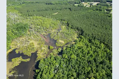 33 Heathsville Road, Enfield, NC 27823 - Photo 6
