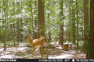 20 Wells Ln, Gates, NC 27937 - Photo 42
