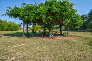 3918 Caitlin Dr, Battleboro, NC 27809 - Photo 40
