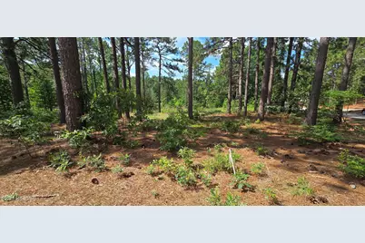 101 Owens Circle, Seven Lakes, NC 27376 - Photo 6